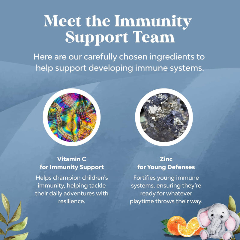 Kids Immunity Support Gummies - Delicious Vitamin C with Zinc and Echinacea Immune Booster Gummies for Kids - Vegan Gluten Free and Gelatin Free Chewable Gummy Vitamin Supplement for Children