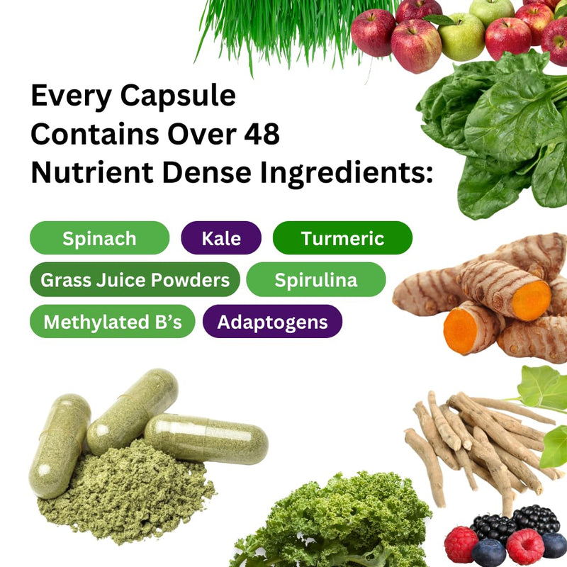 Paradise Herbs Earth's Blend Multivitamin with Iron, 120 Capsules | Once daily dietary supplement with 48 organic superfoods, probiotics, antioxidants, and vitamins A, B12, C, D, K2 120 Count (Pack of 1)