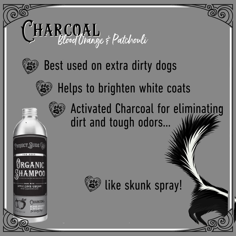 Activated Charcoal Liquid Shampoo for Dogs | Blood Orange Patchuili | Odor Eliminating | Deep Cleaning Shampoo - PawsPlanet Australia