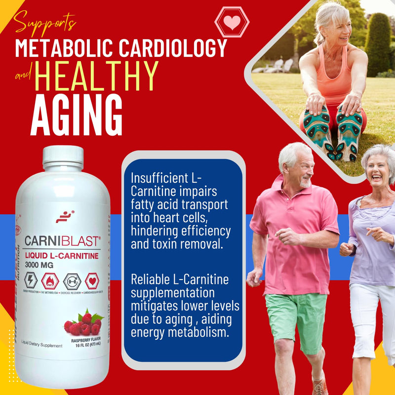 [Australia] - CARNIBLAST Liquid L-Carnitine 3000mg, Premium L Carnitine Carnipure, Energy Nutrition, Energy Supplement and Energy Booster, Raspberry, 16 fl oz 