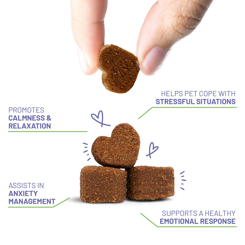 Dog Calming Chews - Anxiety Relief Treats - Calming Chews for Dogs with Natural Souroubea - Calming Treats for Dogs Help Manage Stress and Promote Relaxation, Anxiety Relief for Dogs, Made in the USA - PawsPlanet Australia