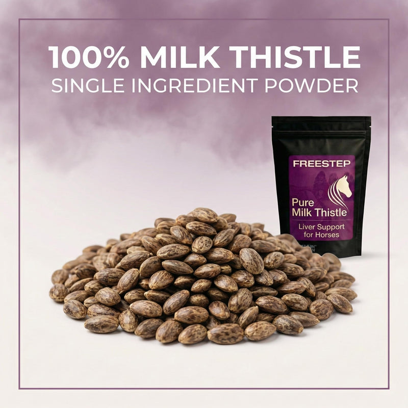 Pure Milk Thistle for Horses | Pure Ground Milk Thistle Powder for Liver Support, Detox and Recovery | Natural Horse Supplement for Performance and Metabolism 500g | 4 Month Supply