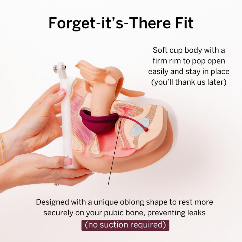 [Australia] - Menstrual Discs with Sterilizer - Ranked 1 for Most Comfortable Soft Reusable Period Disc - Kills 99.9% of Germs with Cleaner Steamer - Wash Your Disc in 3 Minutes! - Compact Sanitizer Kit 