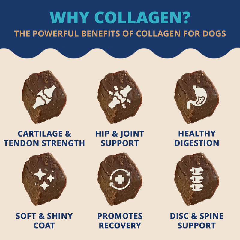 Under the Weather Collagen Chews for Dogs | Promotes Healthy Skin Coat and Stronger Hip & Joint | Improves Overall Mobility | Immunity and Anti-inflammatory Collagen for Dog Supplement | 60 Count - PawsPlanet Australia