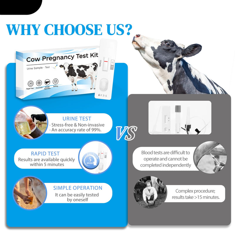 Small Farm Bovine Pregnancy Test Kit (2-Pack) - Urine-Based Early Detection, Rapid 5-10 Min Results, Easy Operation for Cow Herd Breeding Management