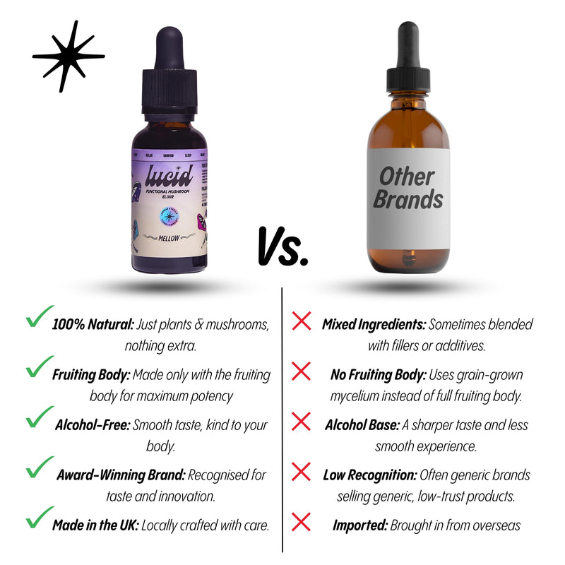 Lucid Mellow Elixir – Sleep & Calm Support with Reishi, Lemon Balm, Passion Flower & L-Theanine – Lavender & Vanilla – 30ml, Alcohol Free, Vegan