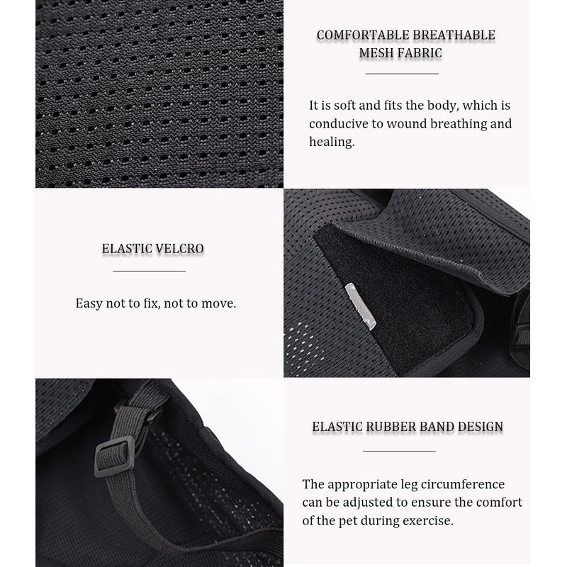 IVDD Back Brace for Dogs, Flexible Pet Dachshund Back Supporting Vest, Dog Back Bracer for Small Pet with Arthritis, Back Pain,Herniated Disc,Spinal Surgical Recovery (M) Medium - PawsPlanet Australia