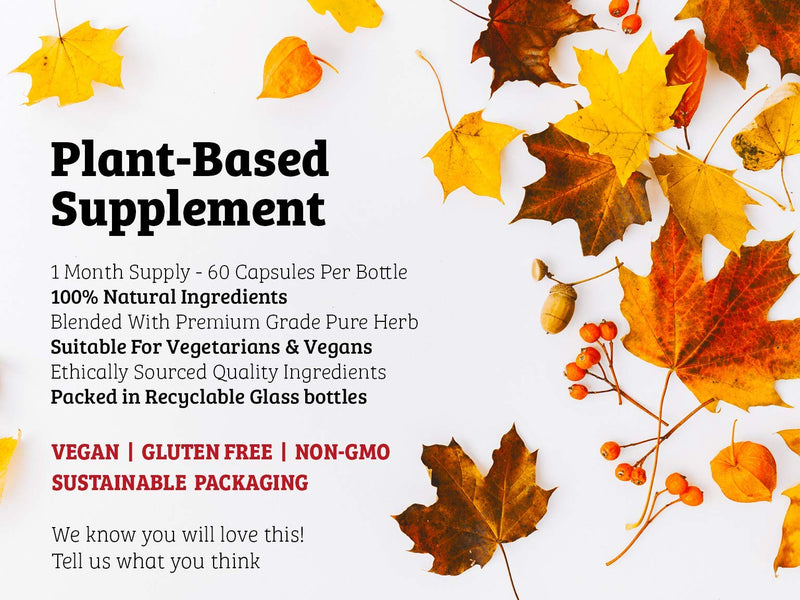 [Australia] - DR WAKDE'S Karela Capsules (Bitter Gourd, Bitter Melon, 60 Veg Caps, Plant-Based Supplement, Ayurvedic Herb, All Natural, Vegan) 