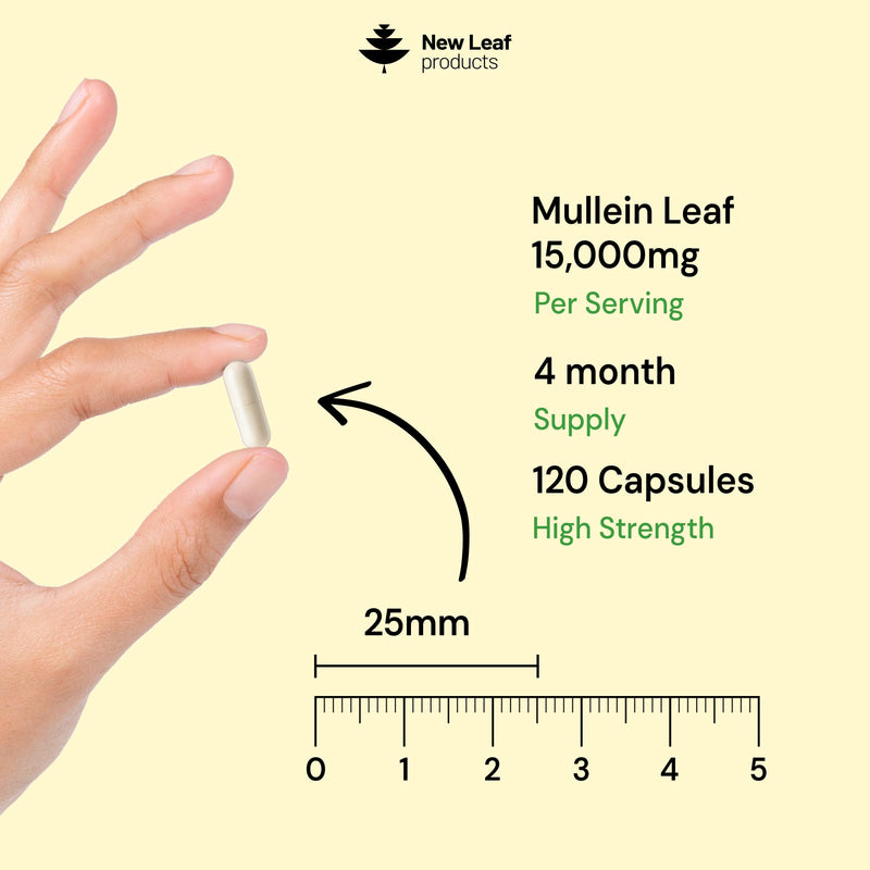 Mullein Leaf Extract for Lungs 15,000mg – High Strength 50:1 Concentrate, 4 Month Supply – 120 Vegan Mullein Leaf Capsules – UK Made by New Leaf