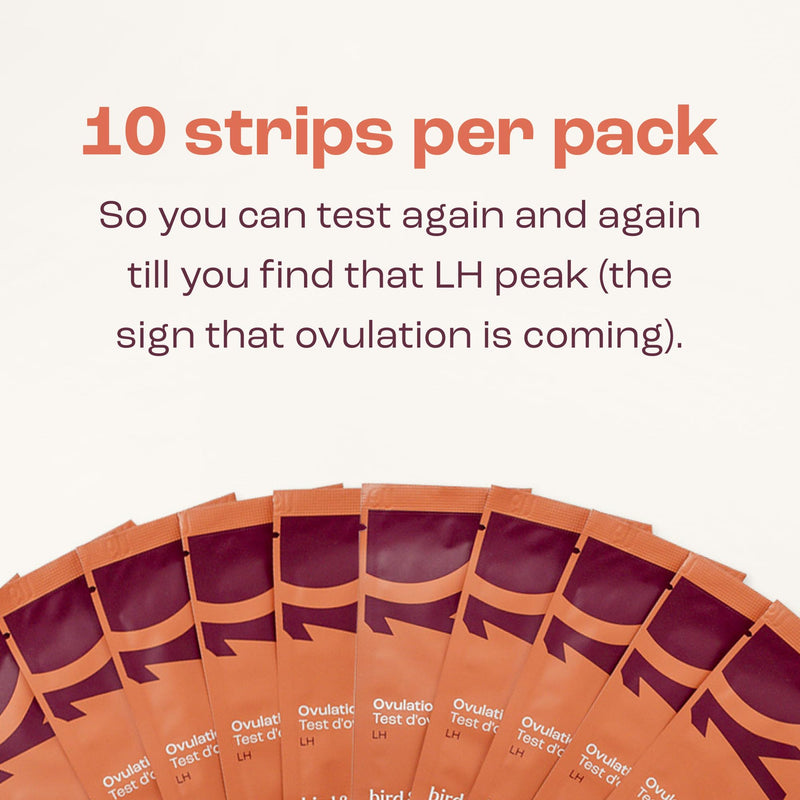 bird&be Ovulation Test Strips (LH) | 10 High-Accuracy Predictor Kits | Track Fertile Window & LH Surge | Eco-Friendly Low-Waste Design | Easy Dip & Read Results | TTC Fertility Monitor White 10 LH Strips