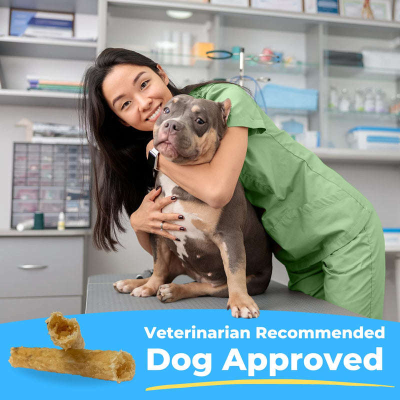 Tartar Shield Soft Rawhide Chews | Safe Dental Treats for Large Dogs | Vet VOHC Approved | Daily Bone Cleans Teeth & Gums Fresh Breath Oral Health Support | USA Made | (Large Dogs / 24 Count) Large Dog - 24 Ct. - PawsPlanet Australia