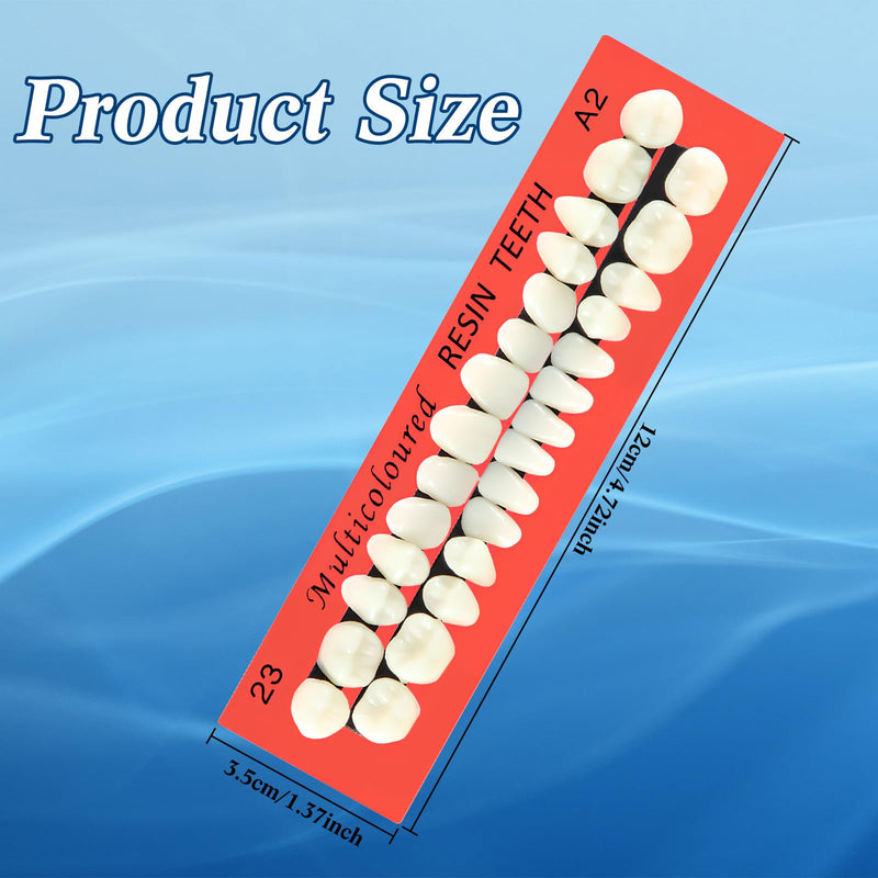 [Australia] - BBTO 6 Sets Acrylic Resin Fake Teeth artificial teeth Denture Replacement tooth prop Synthetic Resin Denture for Replacement, 112 Pieces, 23 A2 