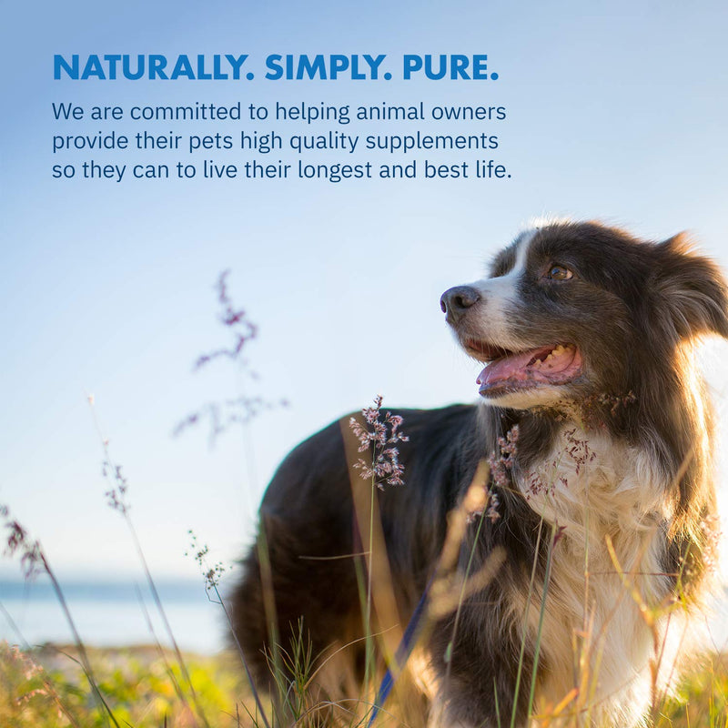 HealthyFlex Canine™ Joint + Mobility Dietary Supplement for Dogs, Natural Eggshell Membrane NEM Formula 120 Servings - PawsPlanet Australia