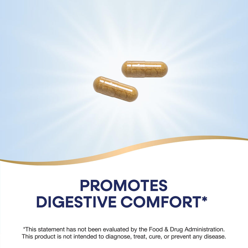 [Australia] - Nature's Way Ginger Root, Promotes Digestive Comfort*, 1,100 mg Per 2-capsule Serving, Non-GMO Project Verified, Vegan, 240 Capsules (Packaging May Vary) 240 Count (Pack of 1) Herbal Supplement 