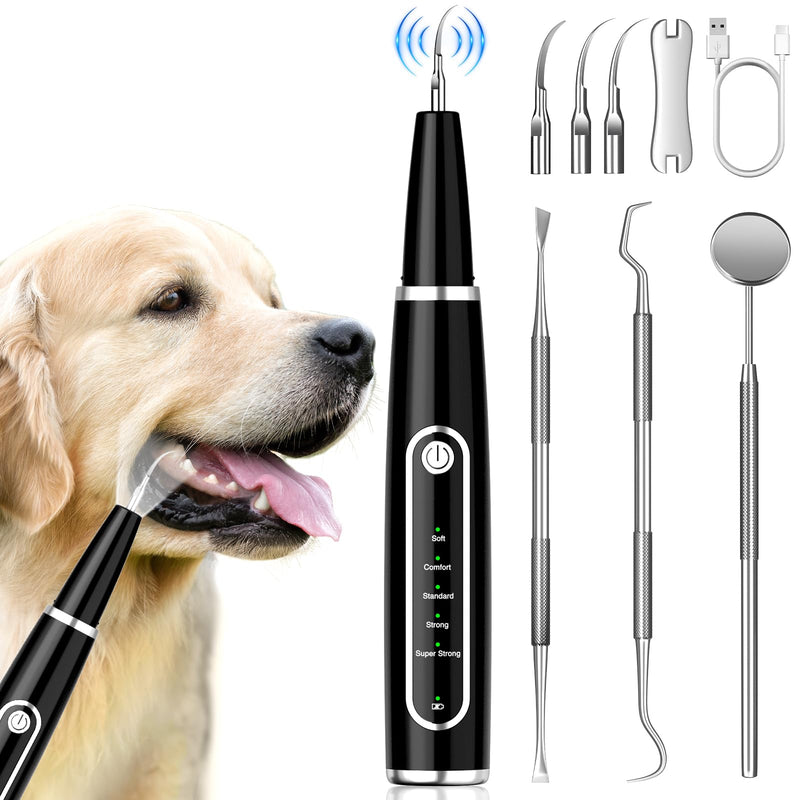Dog Tartar Remover for Teeth, Plaque Remover with LED Light Teeth Cleaning Kit 5 Modes for Dogs and Cats, Black