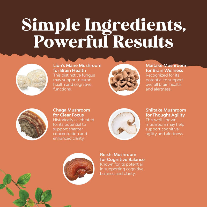 Bundle of Nootropic Brain Supplement - Mental Health & Clarity with VIT A B6 Riboflavin Niacin Thiamin Folate and Advanced Mushroom Complex Capsules - 10X Lions Mane with Reishi Chaga Maitake Shiitake