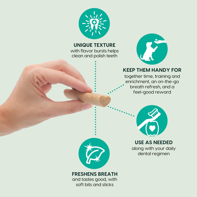 ARK NATURALS Breath Bursts Brushless Toothpaste, Dog Dental Sticks for Large Breeds, Unique Texture Helps Clean Teeth & Freshen Breath, Peppermint, 6 oz, 1 Pack 6 Ounce (Pack of 1) - PawsPlanet Australia