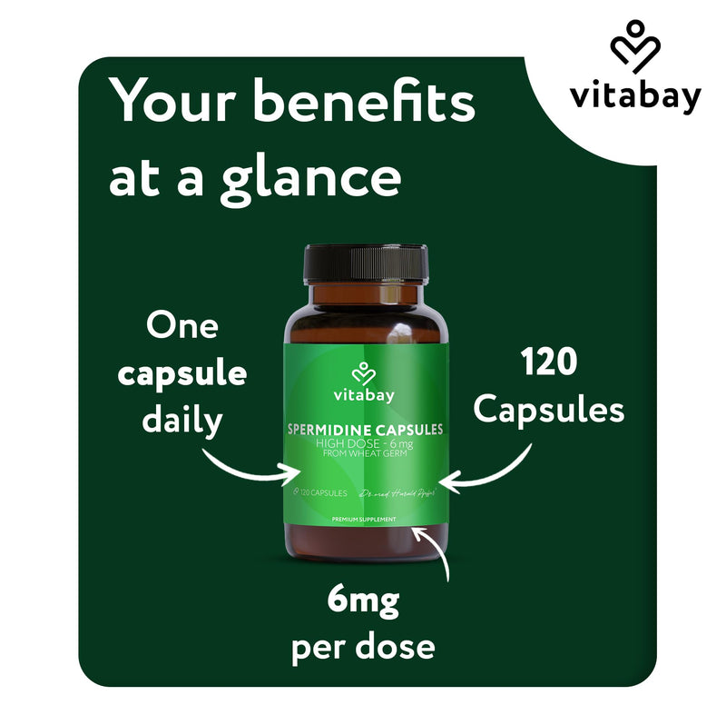 Vitabay Spermidine 6 mg High Strength Supplement – 120 Vegan Capsules with Fermented Wheat Germ Extract – Laboratory Tested in Germany – No Additives – 4 Month Supply