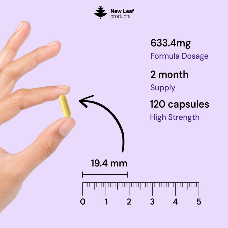 Alpha Lipoic Acid Complex with Vitamin B12, B6 & Thiamine 600mg ALA Daily Serving, 120 Capsules, 2 Month Supply - B Vitamins Contribute to Normal Nervous System Function, Neuropathy & Nerve Support