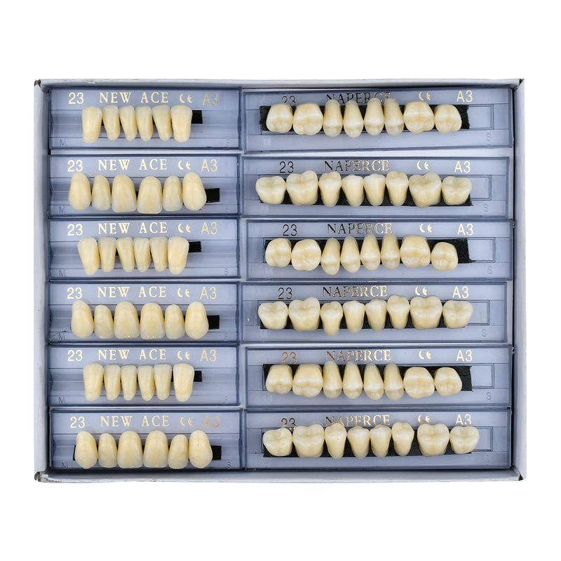 [Australia] - 168 Pcs Dental Synthetic Resin Tooth Denture 3 Sets False Teeth 23 A3 Upper Lower Shade Dental for Halloween Horror Teeth 