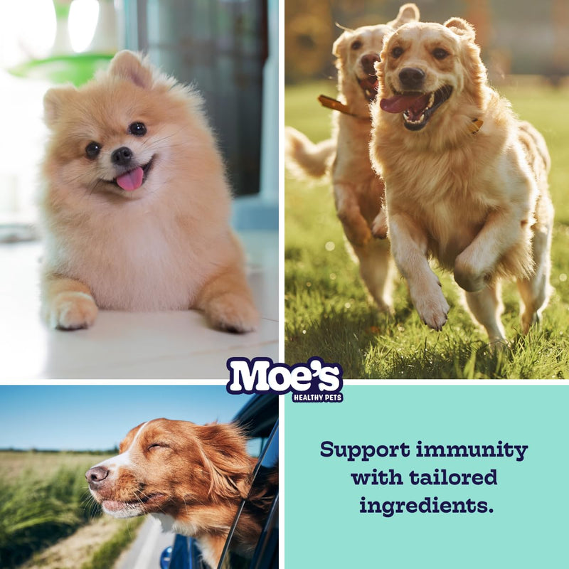 Moe's Healthy Pets Prebiotic and Probiotic for Dogs - Dog Probiotics for Digestive Health and Vitality - Probiotic Chews for Dogs with Pumpkin Flavor - Fiber Supplement for Gut Health for Dogs - PawsPlanet Australia