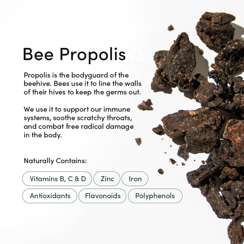 [Australia] - Propolis Throat Spray by Beekeeper's Naturals - 95% Bee Propolis Extract, Natural Immune Support & Sore Throat Relief - Antioxidants, Keto, Paleo, Gluten-Free (1.06 oz)(Pack of 1) Adult Propolis 1 Pack 1.06 Fl Oz (Pack of 1) 