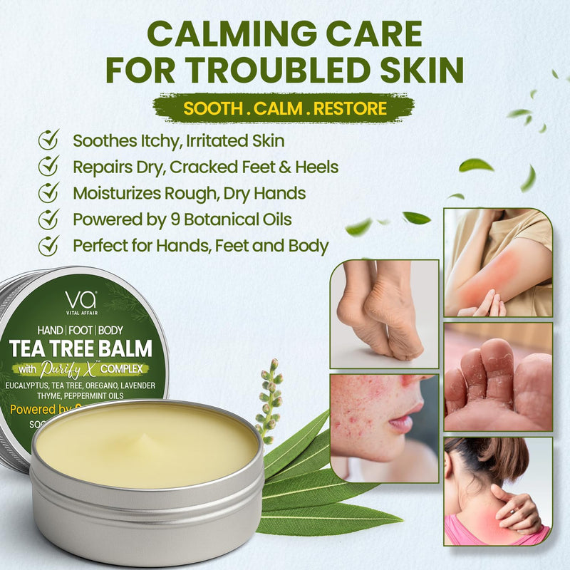 Tea Tree Oil Balm 4 oz Soothing Care for Rashes, Athlete’s Foot, Jock Itch | Bug Bites, Folliculitis, Cracked Feet, Dry, Flaky, Irritated Skin – For All Ages & Sensitive Skin - VITAL AFFAIR Natural Tea Tree 4 Ounce (Pack of 1)