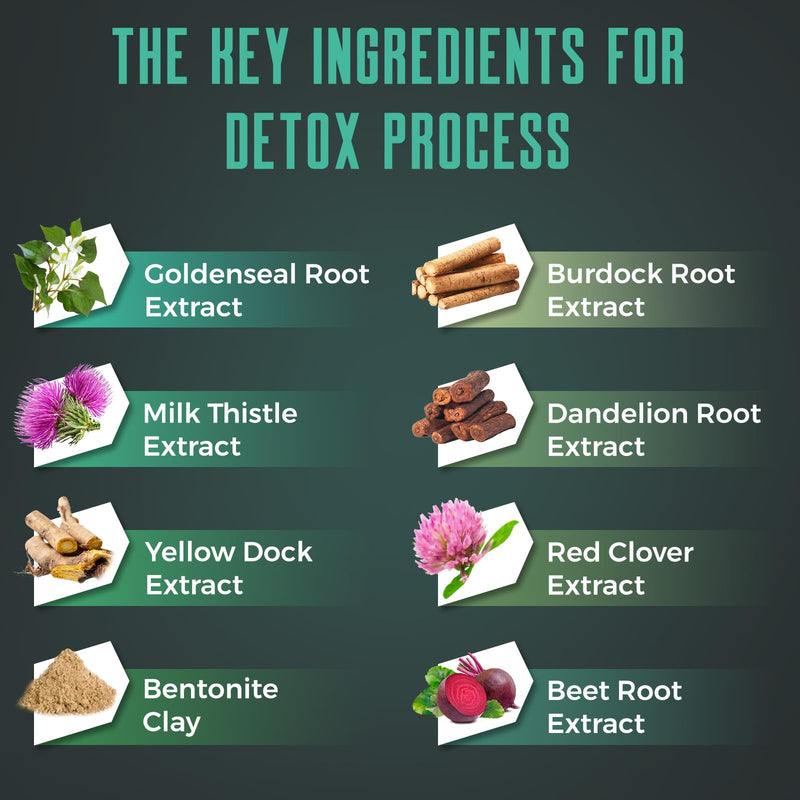 Detox Cleanse Gummies - Liver, Gut, Kidney Cleanse Detox & Repair, Rapid & Effective Full Body Cleanse Best for Women and Men with Milk Thistle - Natural Plant-Based Detox Supplement, 60 Gummies 60 Count (Pack of 1)