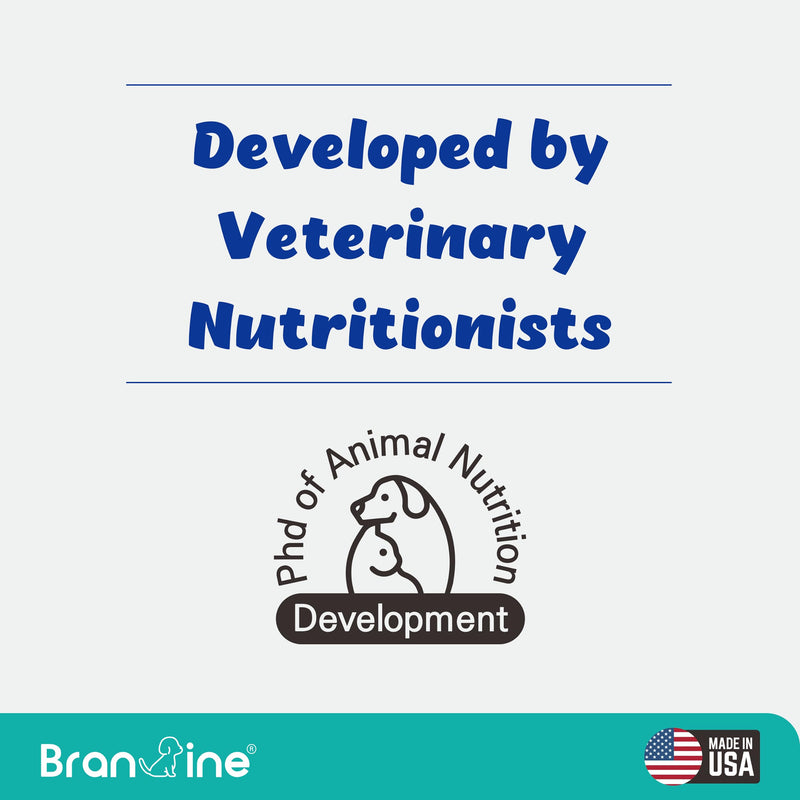 Wellness&Skin Support Echo for Kitty - 12 Health Benefits/Itching, Atopy, Allergy, Inflammation (54g) - PawsPlanet Australia