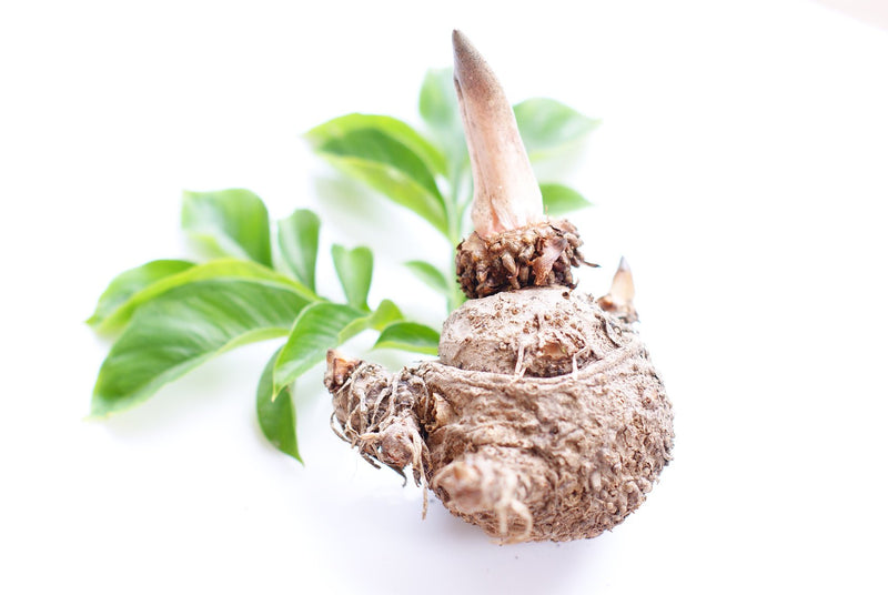 [Australia] - Konjac, Konjac flour, Konjac root, ground devil's tongue 16,000 cps, Konjac Gum E425. Bag 1500g (1.5KG). 1.5 kg (pack of 1) 