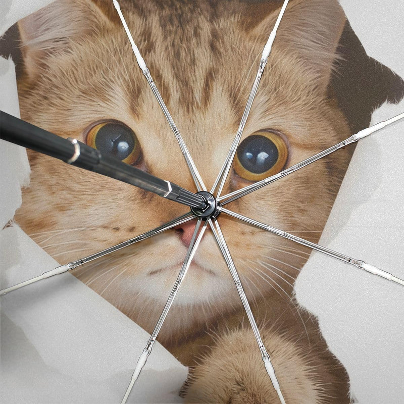 Black Compact Travel Umbrella Maine Coon Cat Auto Open Close Umbrella Windproof Anti-UV Cat #2