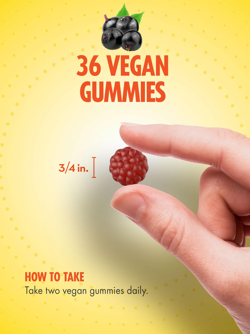 Sundance Elderberry Gummies for Adults | with Zinc & Vitamin C | Berry Flavor | Vegan, Non-GMO, and Gluten Free Supplement