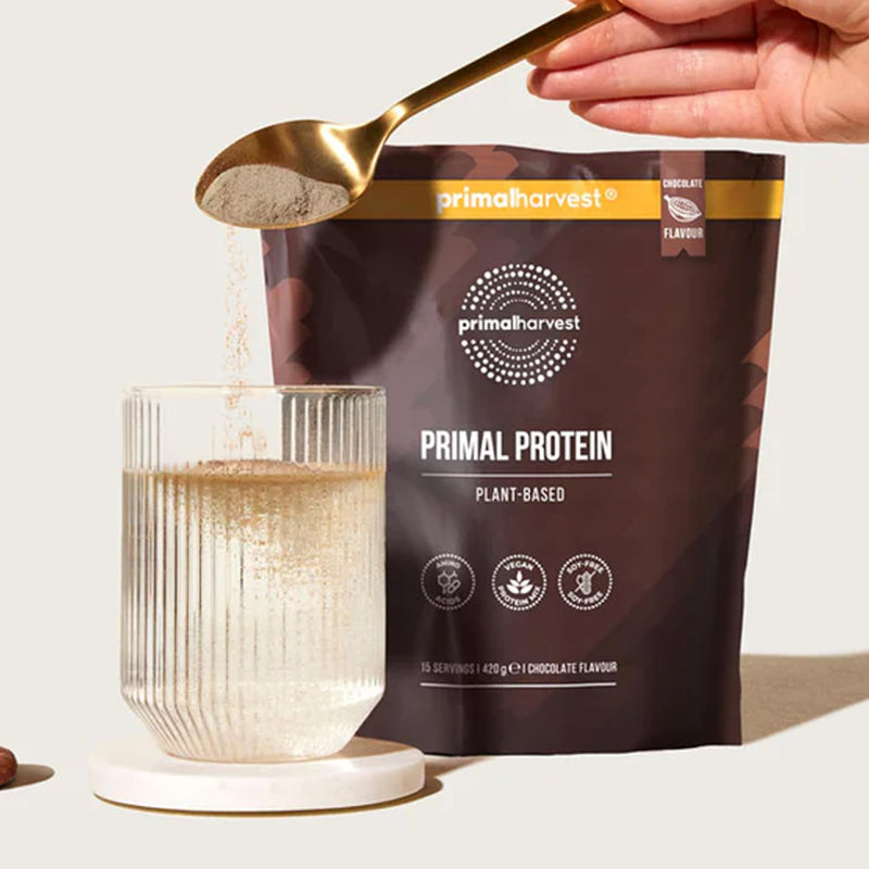 Primal Harvest Primal Protein Vegan Powder 20g Plant-Based Protein from fava Bean, Chickpea & Rice. Chocolate Flavour, Gluten-Free, Dairy-Free, Made in DE (1 Bag (15 Servings), Chocolate) 1 Bag (15 Servings)