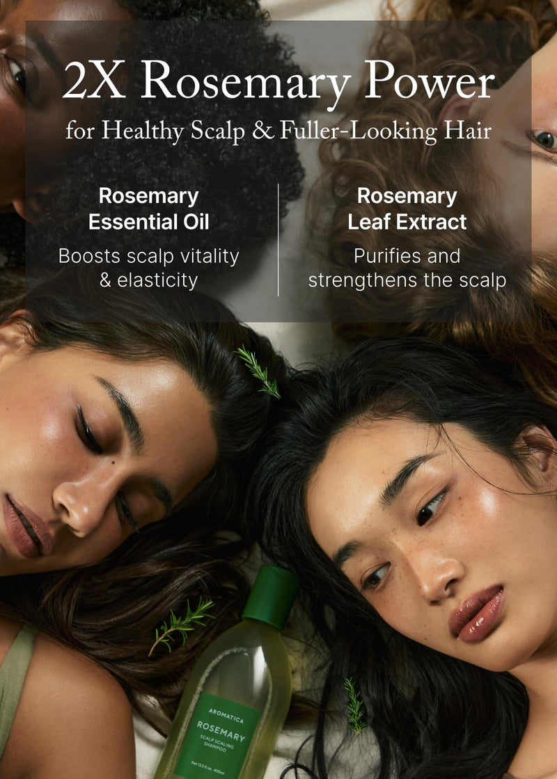 AROMATICA Rosemary Scalp Scaling Shampoo for Hair Growth | Korean Hair Care for Thinning Hair & Hair Loss, Natural Essential Oil, Vegan, Sulfate Silicone Paraben Free (13.53 oz) 01. Rosemary