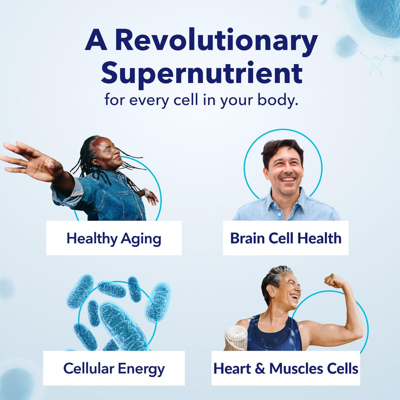 TRU NIAGEN Patented NAD+ Supplement, 300mg Niagen, 30 Servings | Nicotinamide Riboside (NR) Take 1 Daily | 1 Bottle 300mg (30 Servings)