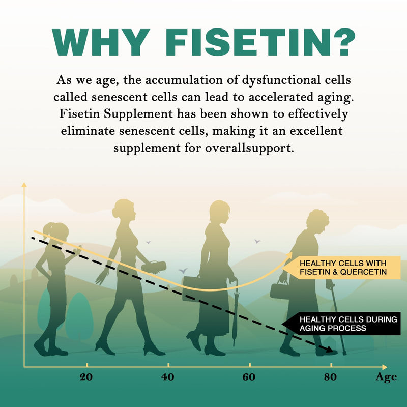 [Australia] - Liposomal Fisetin and Quercetin 1200mg per serving - 60 soft gel capsules (1000mg Fisetin, 200mg Quercetin) - improved absorption - powerful & 100% natural (60 pieces (pack of 1)) 60 pieces (pack of 1) 