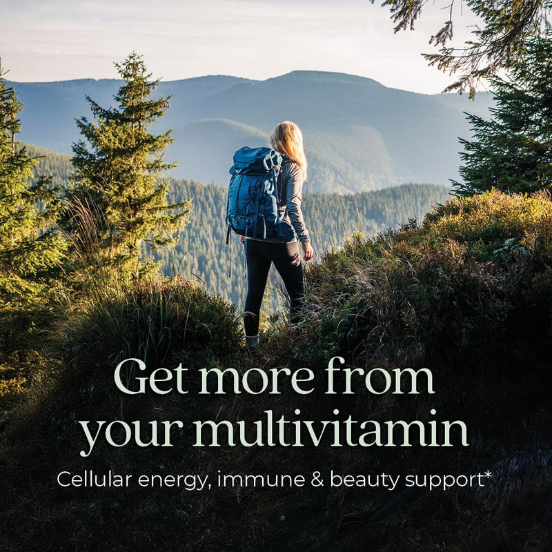 New Chapter Every Woman's One Daily Multivitamin - Bone, Energy & Immune Support* - Whole-Food Fermented Nutrients - No Added Sugar - Vegetarian & Gluten-Free - 72 Tablets 72 Count (Pack of 1) Tablet for Women