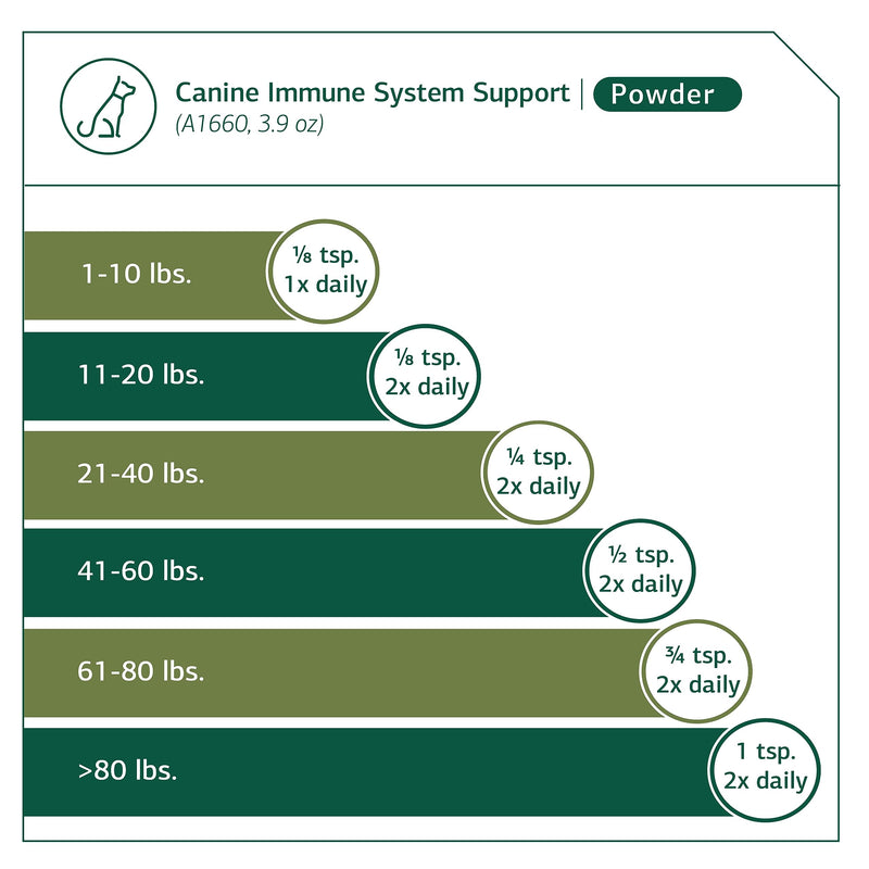 Standard Process Canine Immune System Support - Immune Support Supplement for Dogs - Powder Canine Supplement Aids Overall Health & Wellness - Immunity Support Supplement with Zinc & Kelp - 30 g 1.1 Oz (Pack of 1) - PawsPlanet Australia