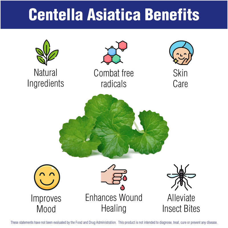 [Australia] - Centella Asiatica 500 mg 60 Capsules by Natural Systems - Gotu Kola Herb Moisturizer for Your Skin - Extract Also Beneficial for Calming Mind Tiredness 