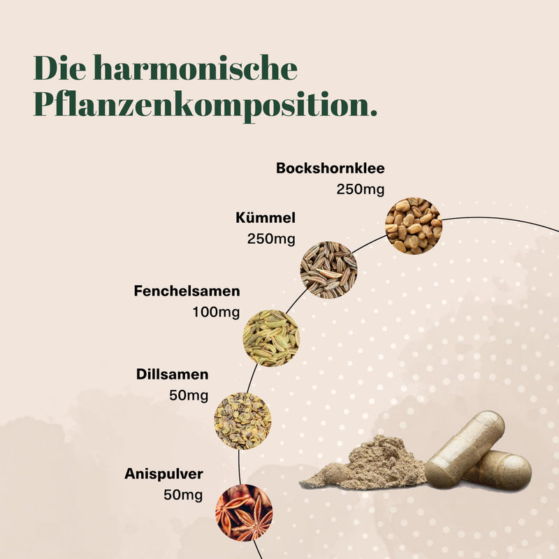 [Australia] - håvsund LACTAVAL lactation vitamins (60 capsules) • Dietary supplement for mothers & women in the breastfeeding phase • Fenugreek capsules with fennel, caraway, cumin & anise • Vegan 