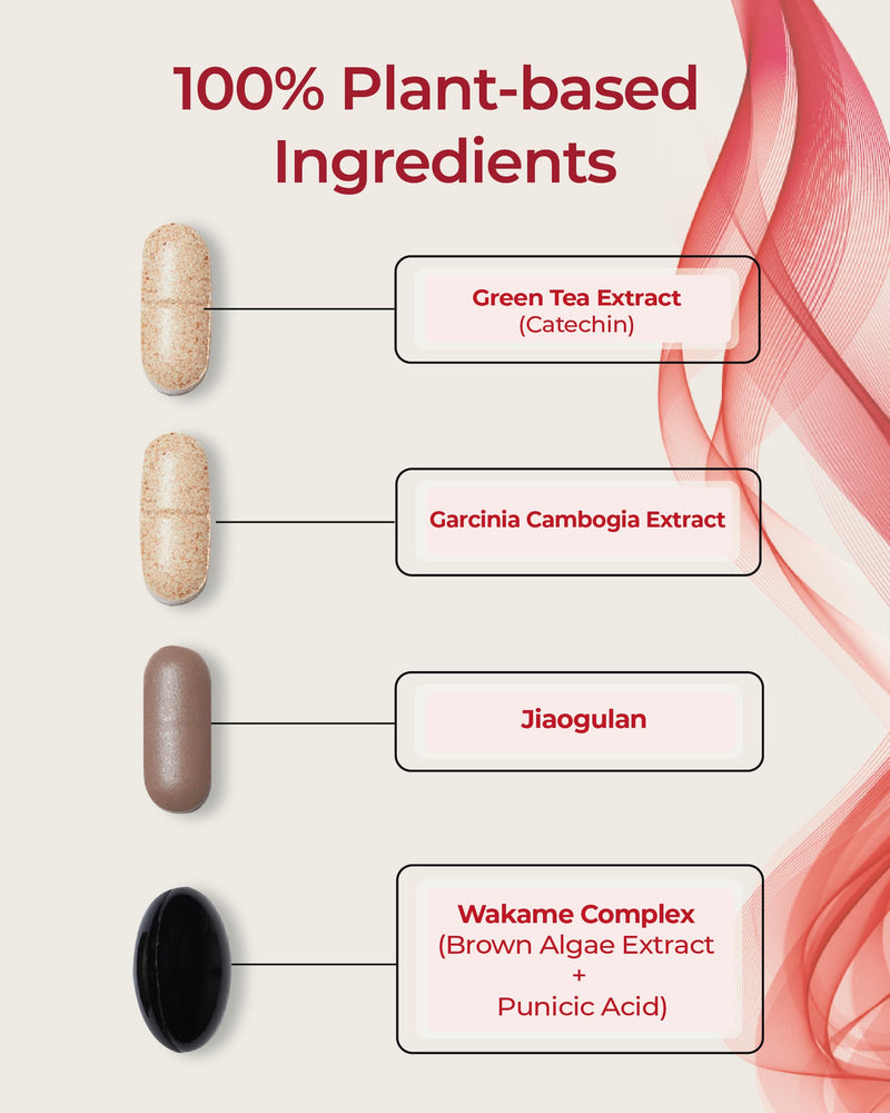 [Australia] - Burningology D-Day (Pack of 1, 10 Days) - Jiaogulan, Wakame Complex, Green Tea Extract, Garcinia Cambogia Supplement. (Pack of 1, 10 days) 