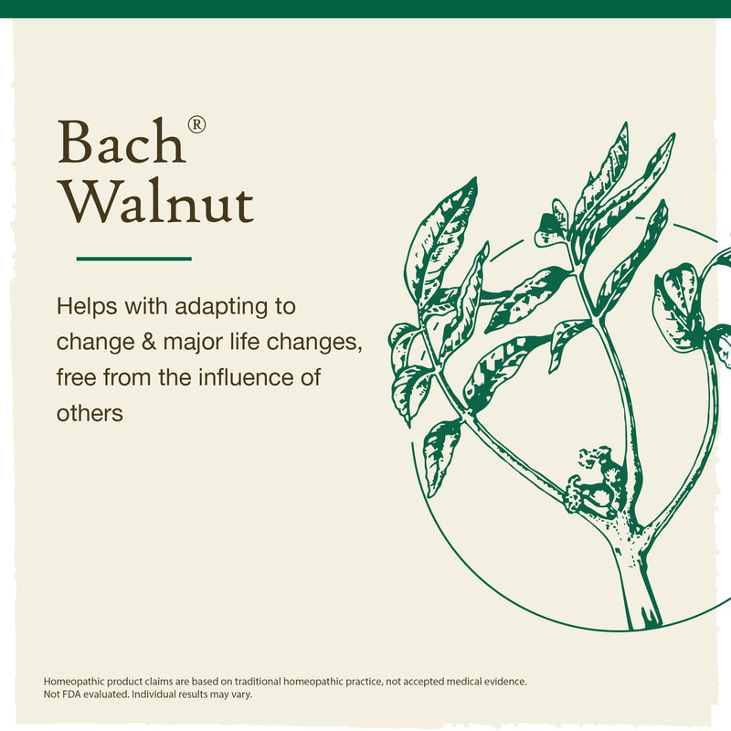 [Australia] - Bach Original Flower Remedies, Walnut for Adapting to Change (Non-Alcohol Formula), Natural Homeopathic Flower Essence, Holistic Wellness and Stress Relief, Vegan, 10mL Dropper, Clear Walnut (Non-Alcohol Formula) 