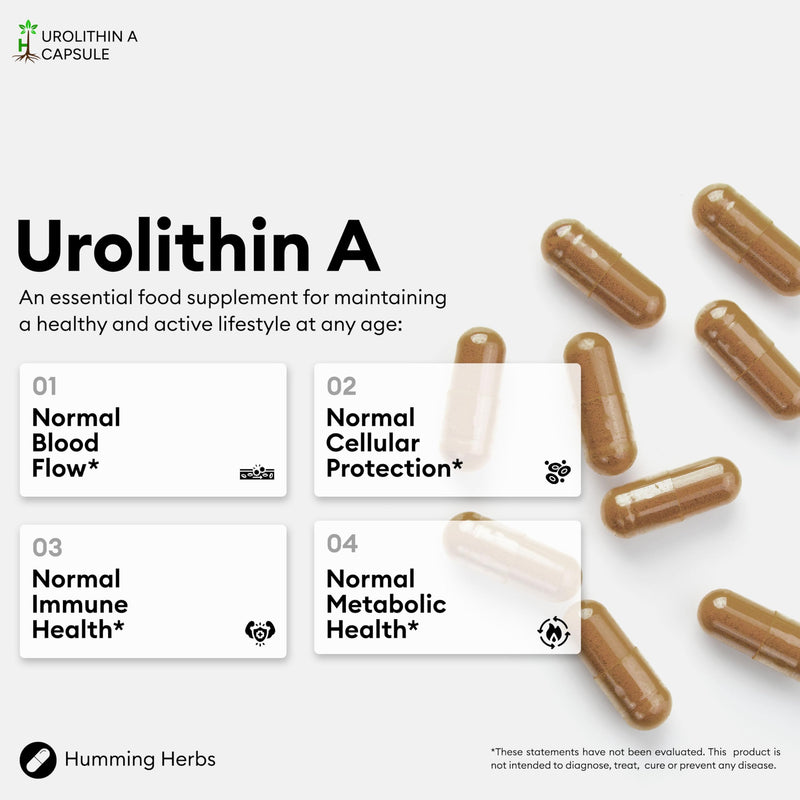 Humming Herbs Urolithin A Complex 560mg – CoQ10, PQQ, Resveratrol, D3 & B12 – 120 Vegan Capsules (120 Days)