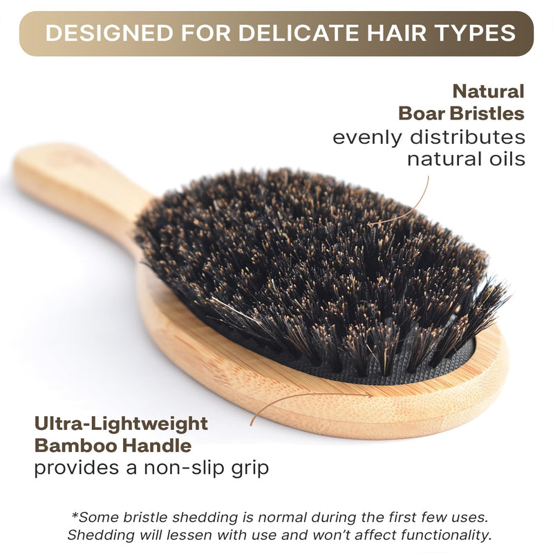 [Australia] - Boar Bristle Hair Brush for Women and Men, Natural 100% Soft Boars Hairbrush for Fine and Thin Hair Pack of 1 100% Boar Bristles 