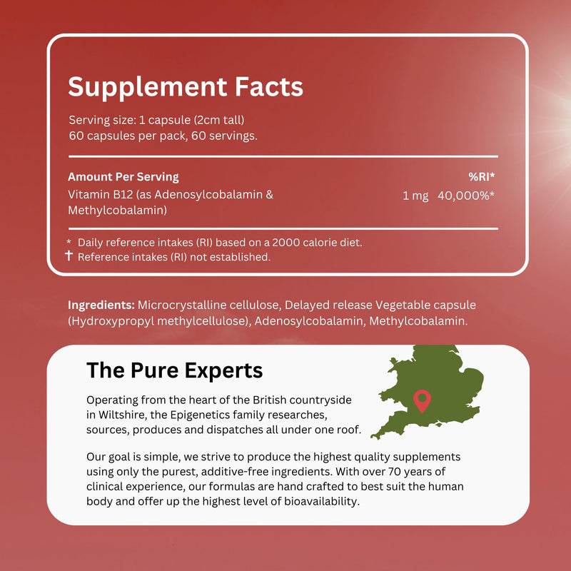 Vitamin B12 Adenosylcobalamin & Methylcobalamin DR | B12 Supplement 1000mcg (1mg) | 60 Vegan Friendly Capsules UK Made | 1 Capsule Daily (2 Month Supply)
