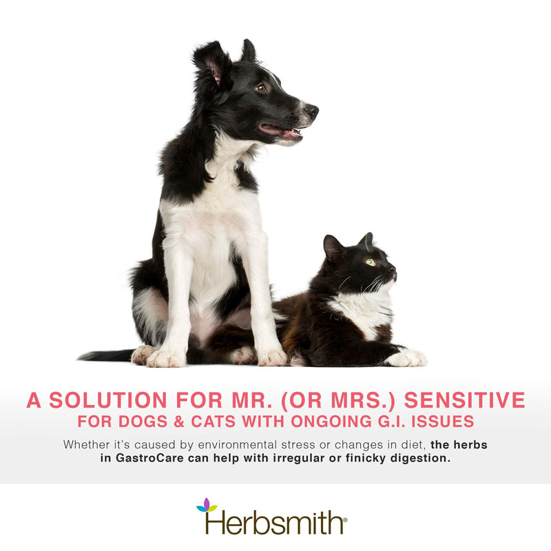 Herbsmith GastroCare - For Cats & Dogs with Sensitive Stomachs - Cat and Dog Digestive Support - Ease Canine and Feline Sensitive Stomach - 150g 150g Powder - PawsPlanet Australia
