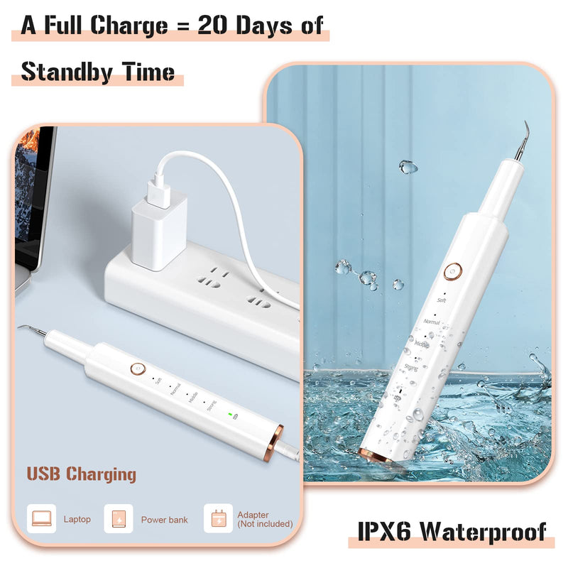 [Australia] - Plaque Remover for Teeth, Electric Tooth Cleaner Tartar Remover for Teeth with LED Light,4 Modes Rechargeable Teeth Cleaning Kit with Dental Tools, 2 Replaceable Heads (White A) 