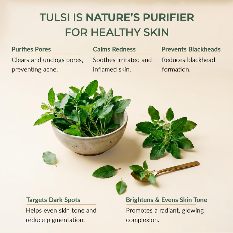 Tulsi Face Cream 1.7 oz – Anti-Aging, Barrier Support & Hydrating Moisturizer with Shea Butter, Aloe Vera & Vitamin E – Supports Soft, Radiant Skin – Vegan, Fragrance-Free