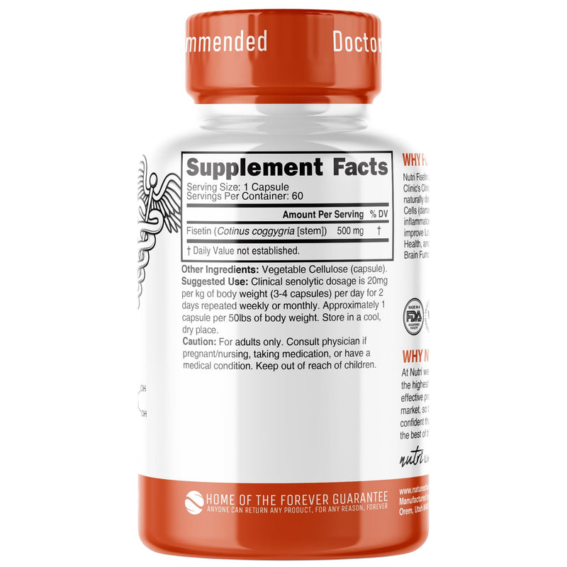 Nutri Fisetin 500mg 60 Count - Clinical Dosage - Fisetin Supplements - Powerful Senolytic Activator, Antioxidant, Heart & Brain Support - Natural Polyphenols - Capsules - 3rd Party Tested for Purity