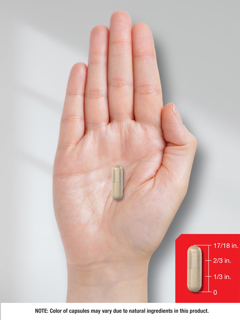 [Australia] - Horbaach Prostate Supplement for Men | 200 Capsules | Enhanced Complex with Saw Palmetto, Pygeum, Stinging Nettle | Non-GMO and Gluten Free 